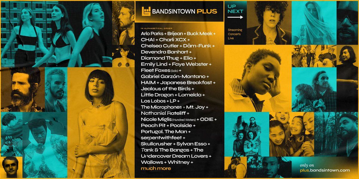 Bandsintown campaign asset 1